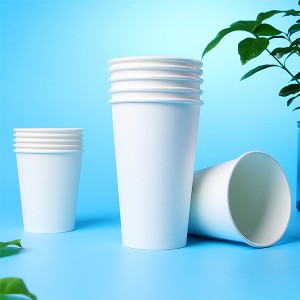 Gobelets en papier enduit de PLA biodégradables et compostables