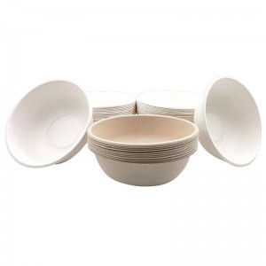 Degradable Bagasse Pulp Bowl