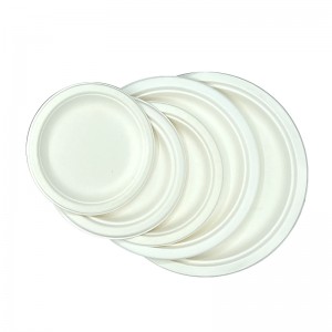 Degradable Bagasse Pulp Plate