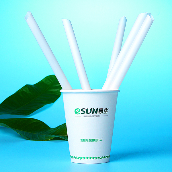 PLA Degradable Plastic Straw Featured Image