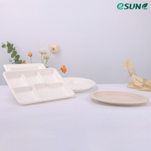 Biodegradable Bagasse Pulp Тray