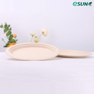 Biodegradable Bagasse Pulp Plate