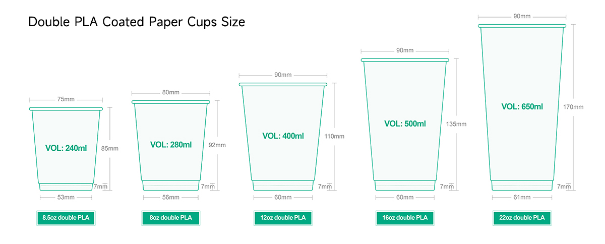 Double PLA Coated Paper Cups Size