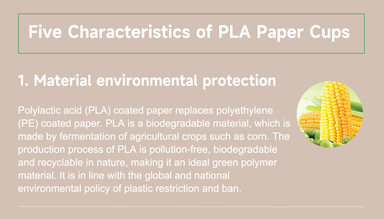 Пять характеристик бумажных стаканчиков PLA-2