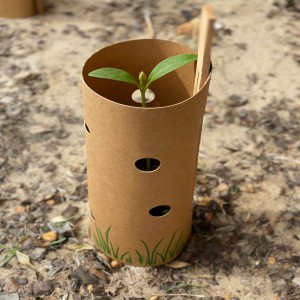 PE/PLA Coated Paper for Tree Production Garden Nursery