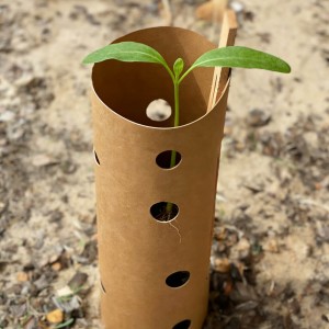 PE/PLA Coated Paper for Tree Production Garden Nursery