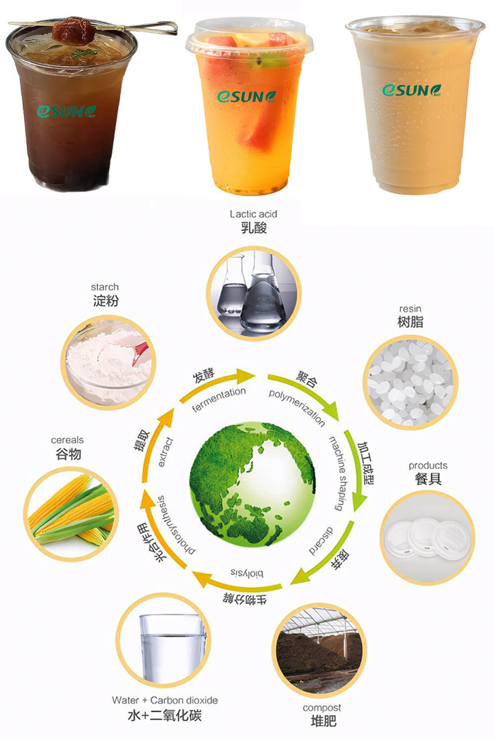 PLA Clear Cup (1)