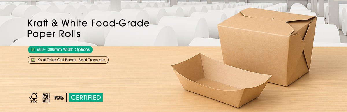 PLA Coated Paper