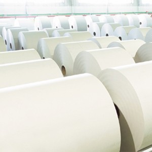 PLA/PE Coated Paper