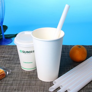 Biodegradable & Compostable PLA coated paper cups