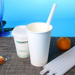 Gobelets en papier enduit de PLA biodégradables et compostables