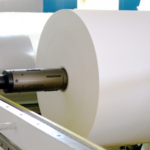 PLA/PE Coated Paper