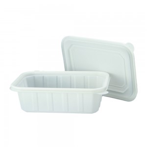 CPLA Single Grid 500ml Lunch Box and Lid