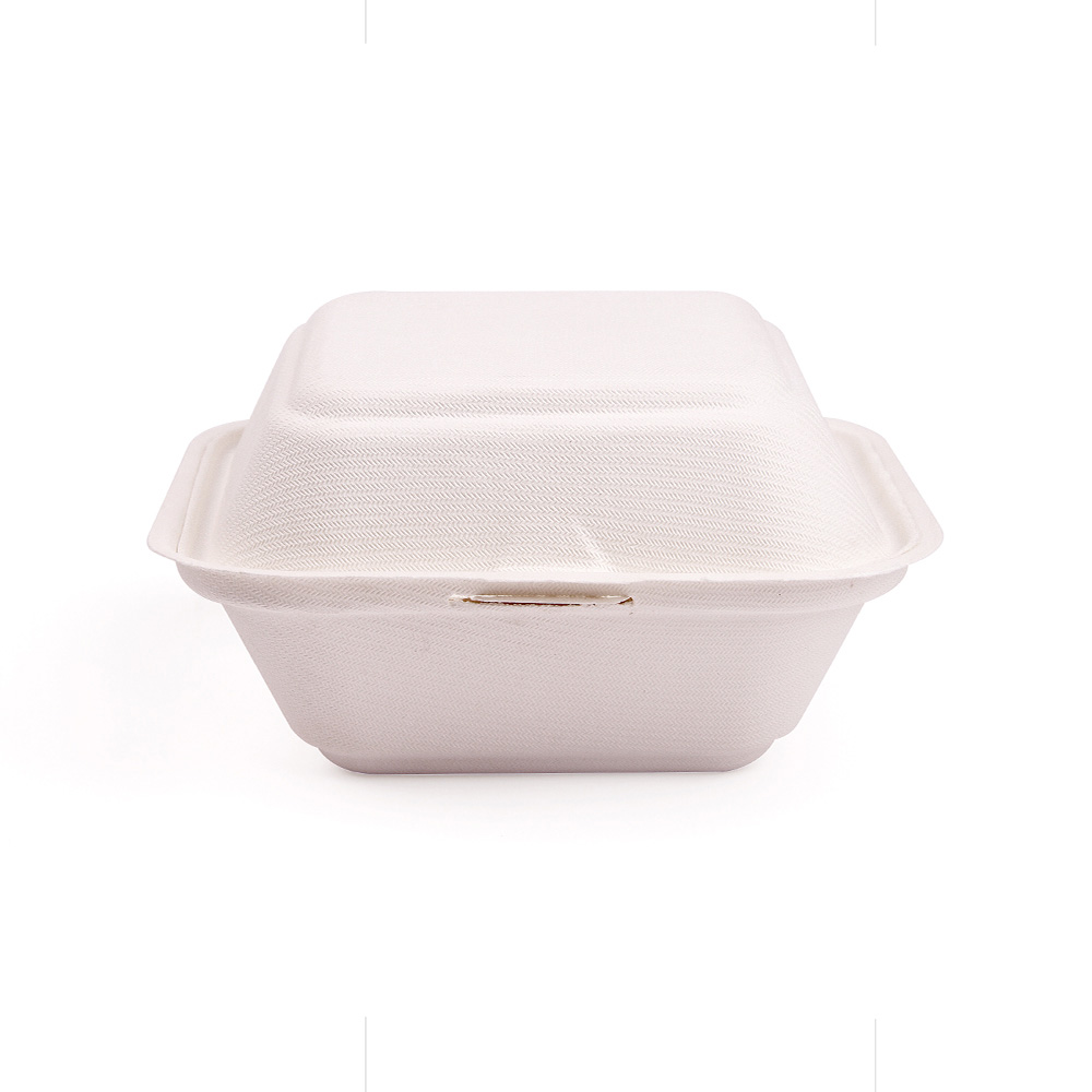 Degradable Bagasse Pulp Clamshell Featured Image