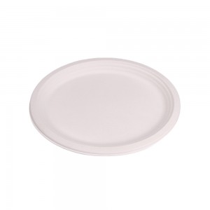 Plaque de pulpe de bagasse dégradable