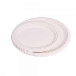 Plaque de pulpe de bagasse dégradable